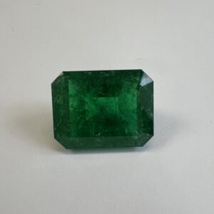 37.22 Ct. Emerald (Emerald Cut)